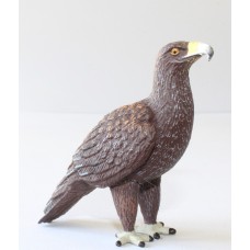 Wedge-tailed Eagle Replica